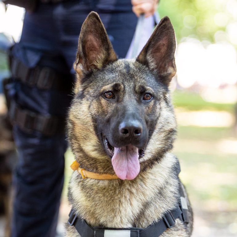 Alla ska känna sig trygga i Täby