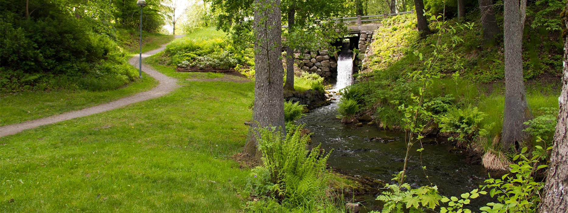 Toppbild för Vad vi vill